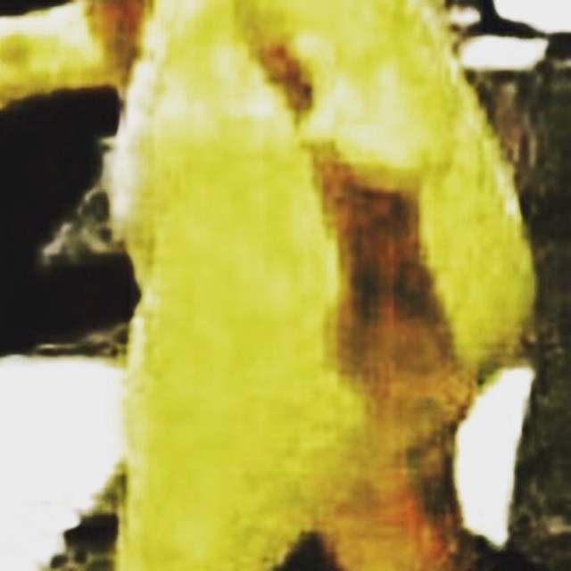 11373715_1667106910191634_2084157093_n.jpg