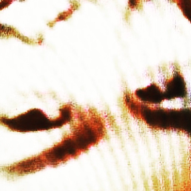 1171628_413544965499477_874856108_n.jpg