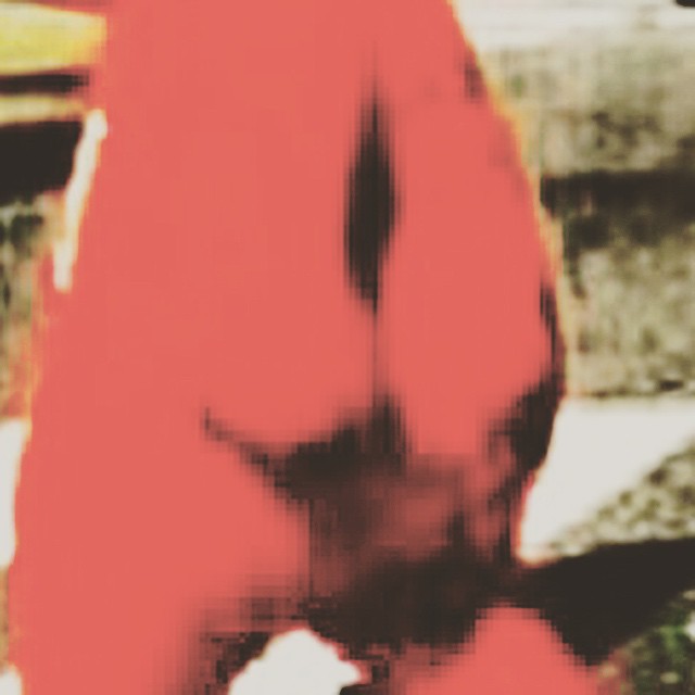 11848875_450527068468224_1828019088_n_1.jpg