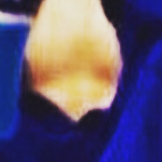 11849090_829352387163496_1910618458_n.jpg
