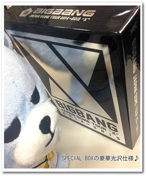 BB Dome Tour Covers 2015 BOX