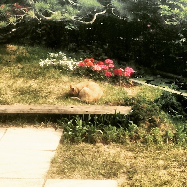 Taeyang insta 2015-05-02