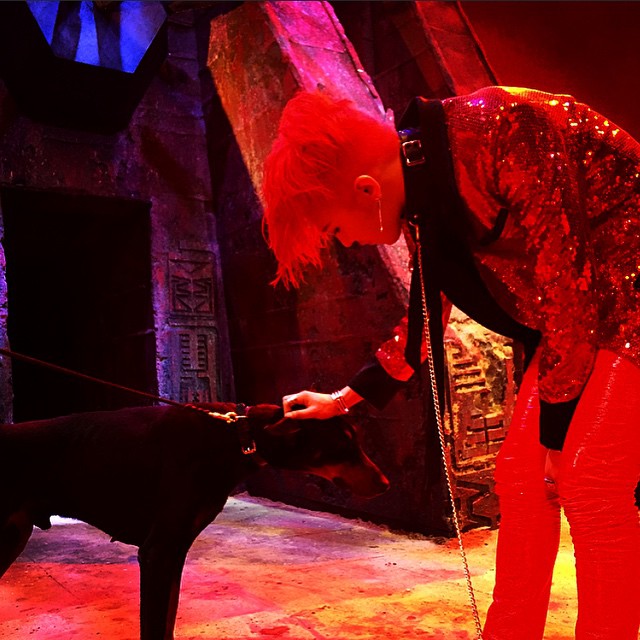 GDInsta-2015-06-02