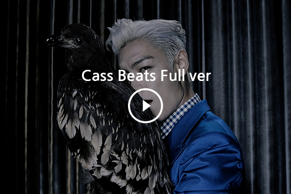 TOP - Cass - 2015 - 24.jpg