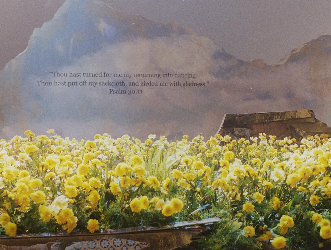 Photo by TAEYANG on April 06, 2022. May be an image of outdoors and text that says '