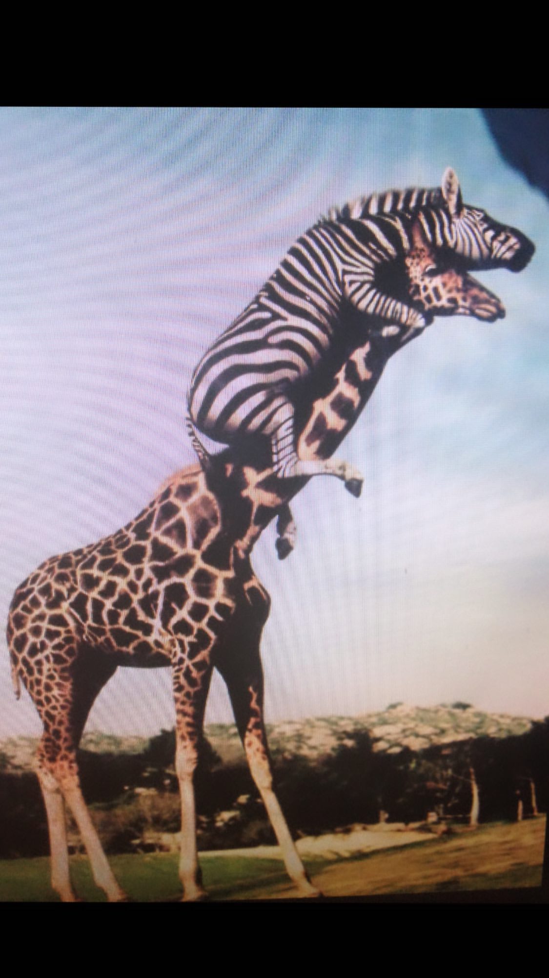 T.O.P Instagram Story 2019-11-01 13:06:51 KST