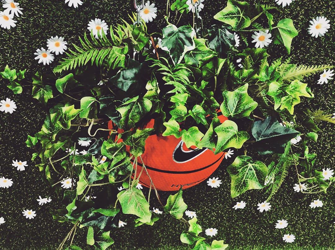 PEACE•NOISE•ONE?