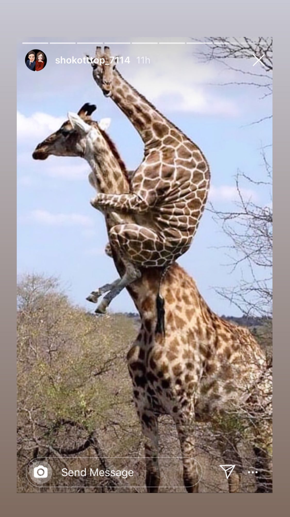 T.O.P Instagram Story 2019-11-03 13:23:18 KST