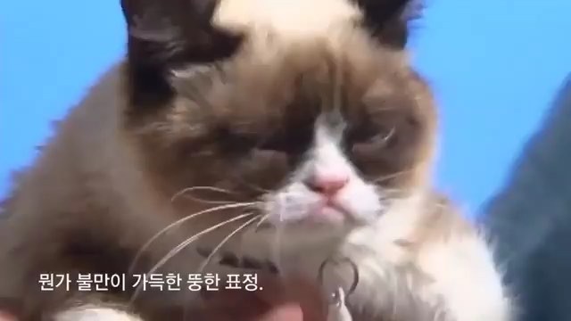 xxxxxxxxxxxx-xxxxxxxxxxxx..-xganzi78