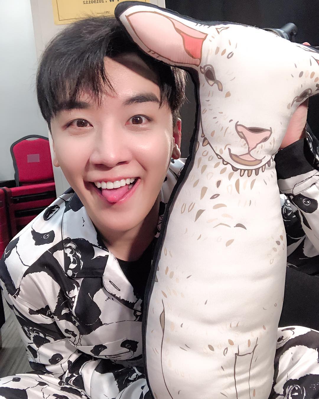 Quiz. How many panda ‘s here ? 여기에 몇마리의 팬더가 있을까요? 맞춰보세요 #thegreatseungritour2019live #hongkong next #manila