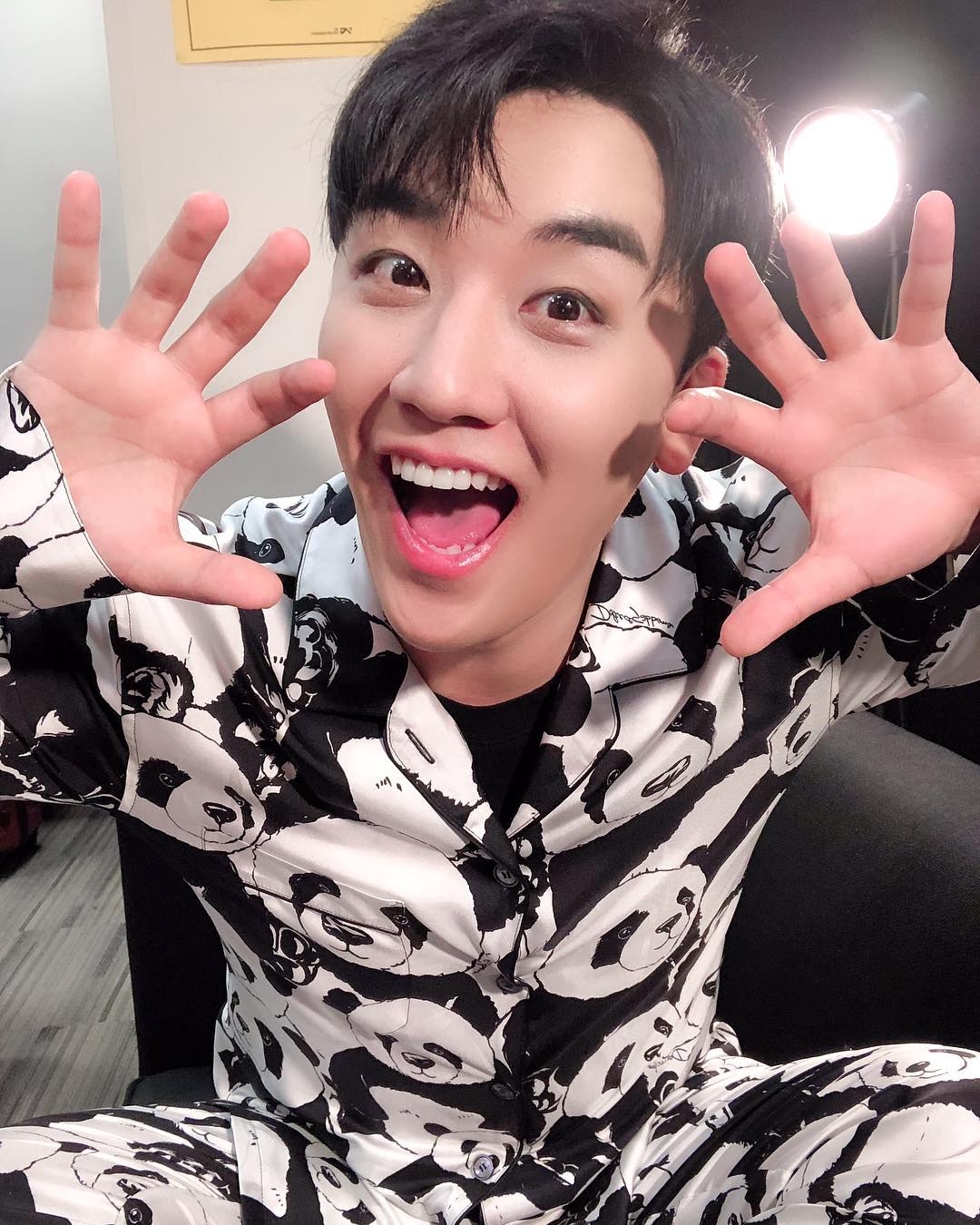 Quiz. How many panda ‘s here ? 여기에 몇마리의 팬더가 있을까요? 맞춰보세요 #thegreatseungritour2019live #hongkong next #manila