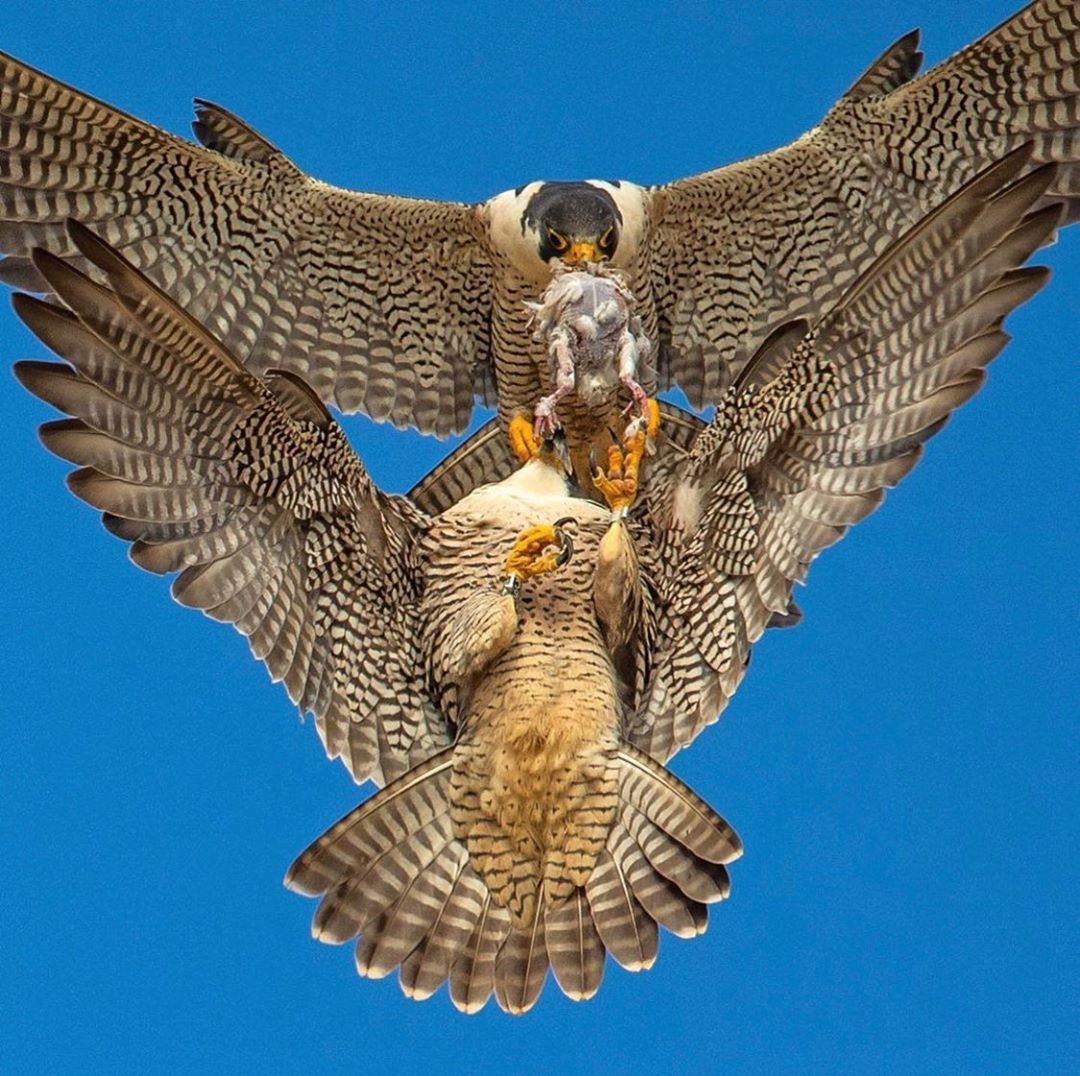 (Social Media) T.O.P Instagram 03/09/2019 17:26:41 (KST) (no caption) #탑 #최승현