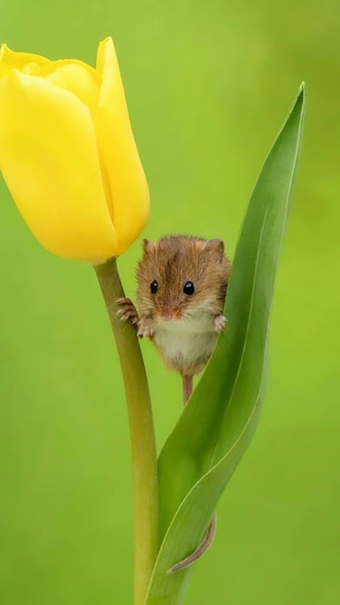 @choi_seung_hyun_tttop