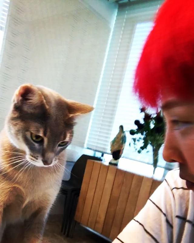 G-Dragon Instagram Oct 11, 2017 10:39am 