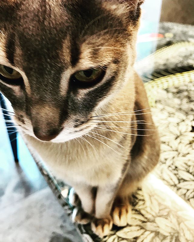 G-Dragon Instagram Nov 2, 2017 7:39am 사랑해아이야️