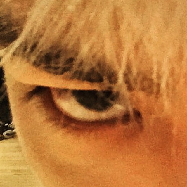 TOP_-_Instagram_-_20150803_-_08.jpg