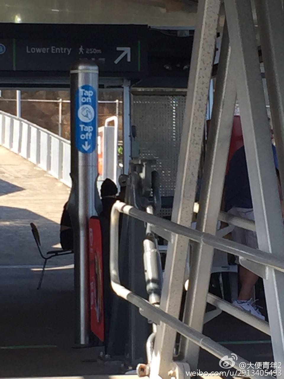 Taeyang_and_Min_Hyori_Sydney_Zoo_2015-10-19_3.jpg