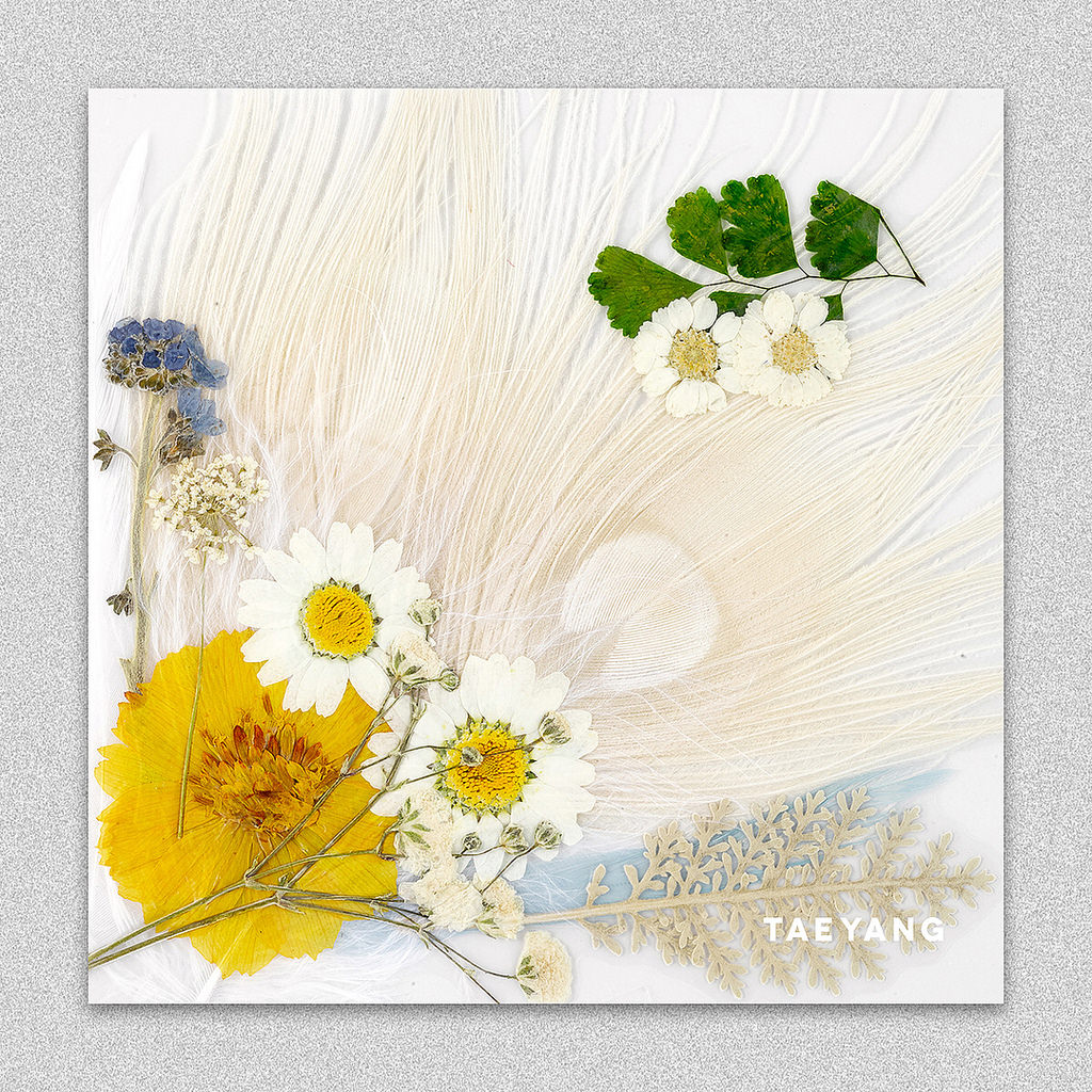 __youngbae___14_8_2017_12_42_28_403