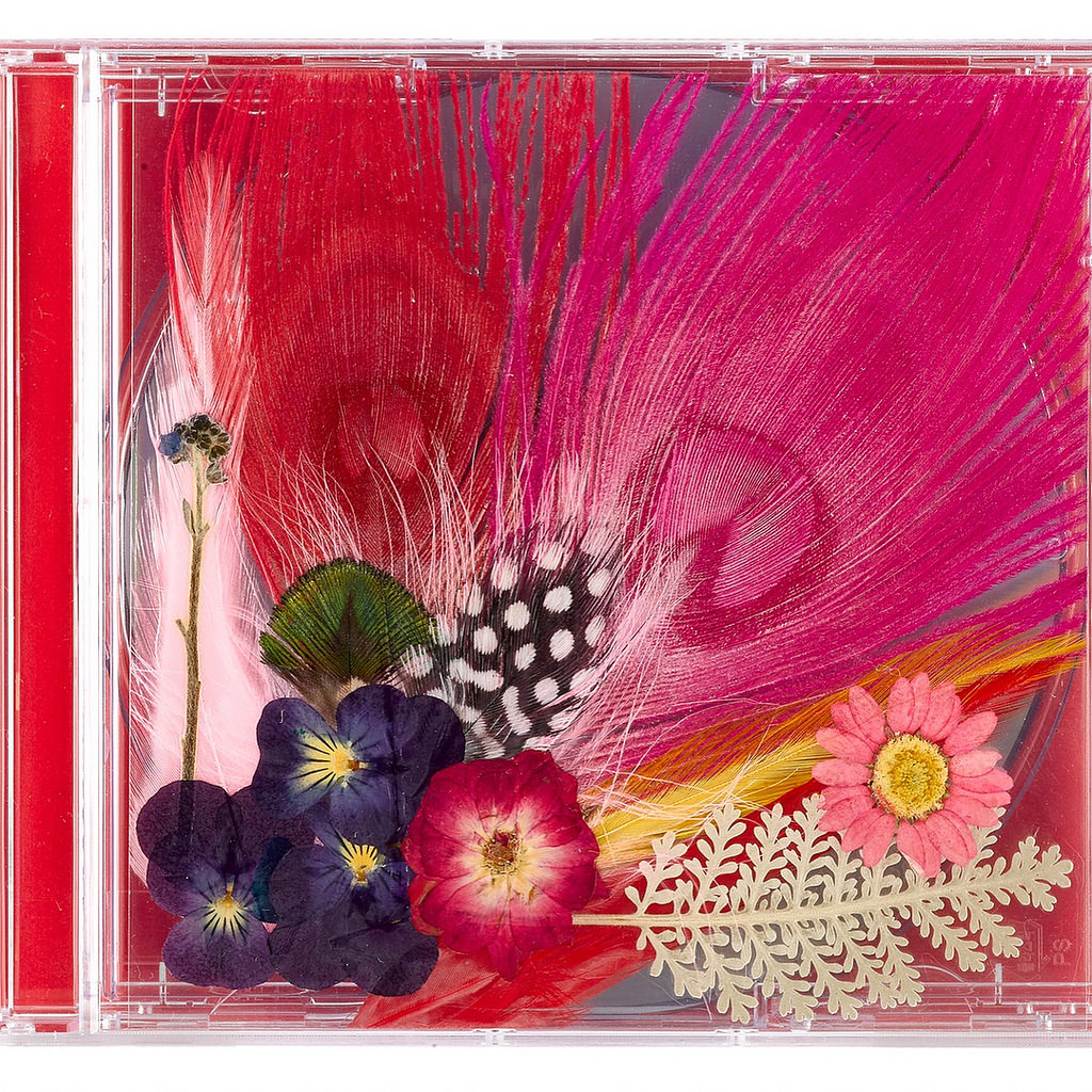 __youngbae___14_8_2017_12_42_39_52