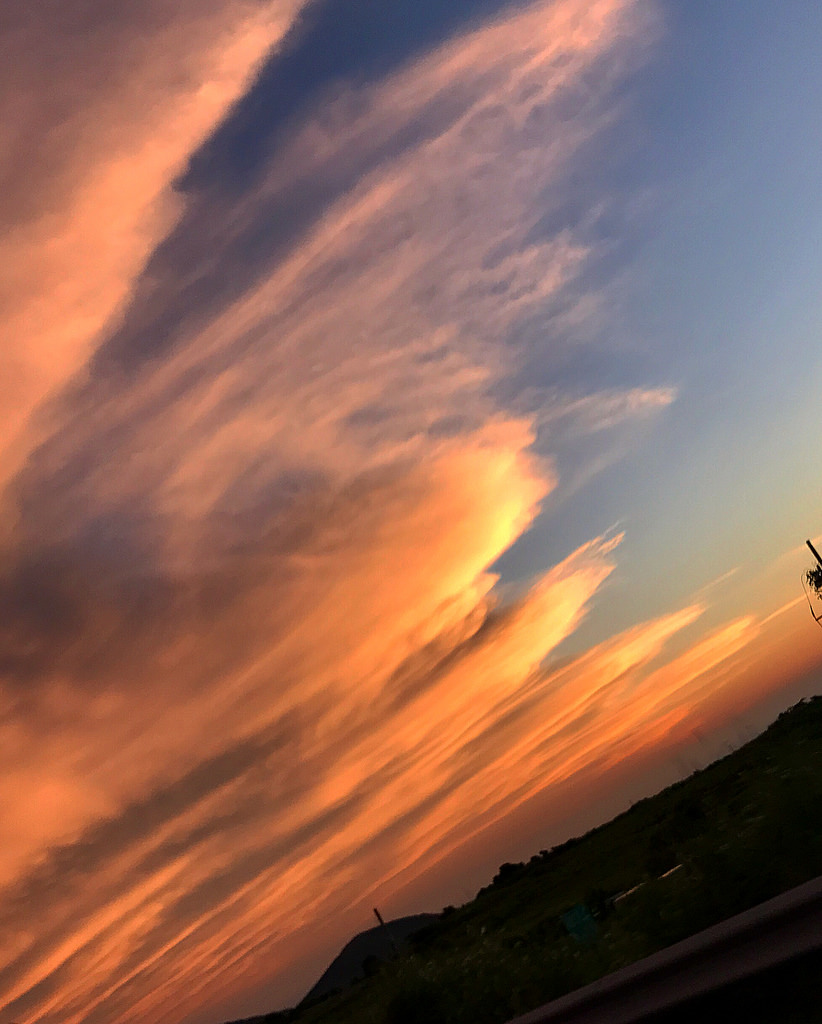 xxxibgdrgn_13_9_2017_14_46_24_689