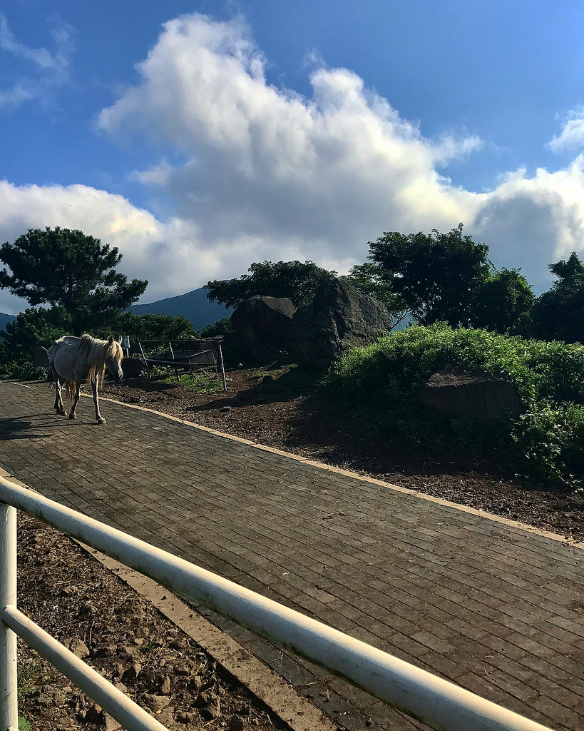 G-Dragon #권지용 Instagram carousel Sep 13, 2017 1240pm (KST) (7)