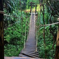 welcome-to-the-jungle