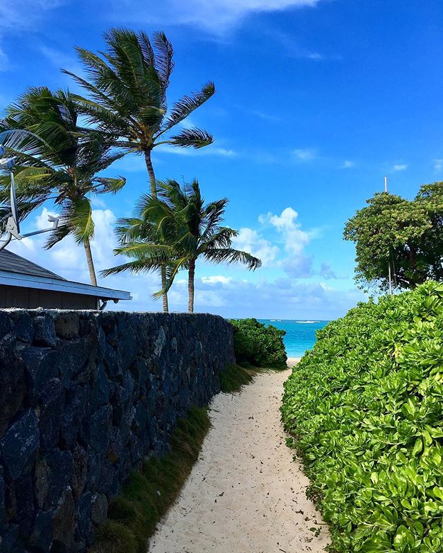 G-Dragon Instagram Oct 24, 2016 12:42pm 🏖
