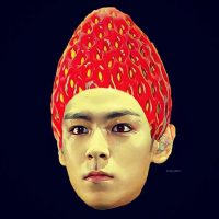 social-media-t.o.p-daily-instagram-summary-113