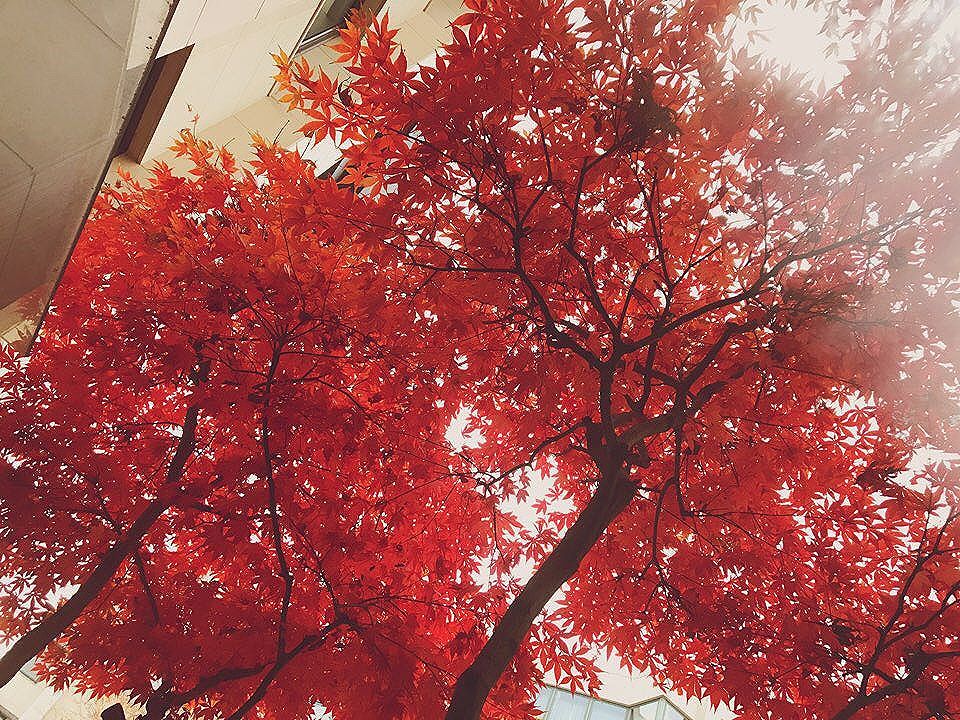 Taeyang Instagram Nov 21, 2016 4:19pm 오랜만에 하늘을 보니..