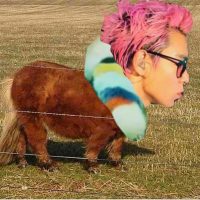 social-media-t.o.p-daily-instagram-summary-114