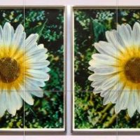 andy-warlhols-daisies1970-1971