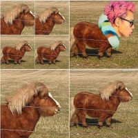 social-media-t.o.p-daily-instagram-summary-122