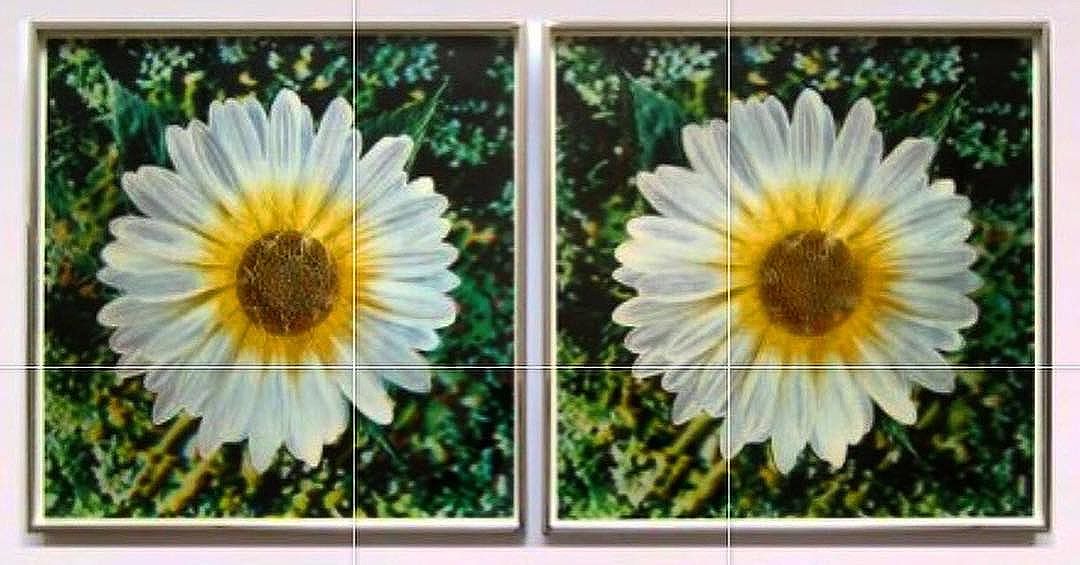 G-Dragon Instagram Dec 17, 2016 10:13am Andy , Warlhol's daisies1970-1971