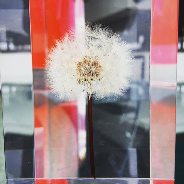 TOP Instagrams Deleted 2016-01-28 (7)