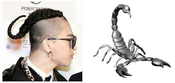 taeyangscorpion
