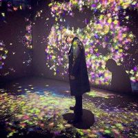 social-media-t.o.p-daily-instagram-summary-41