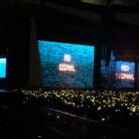 social-media-t.o.p-daily-instagram-summary-81