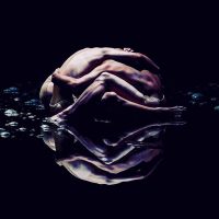 #VESSEL by #koheinawa & #damienjalet