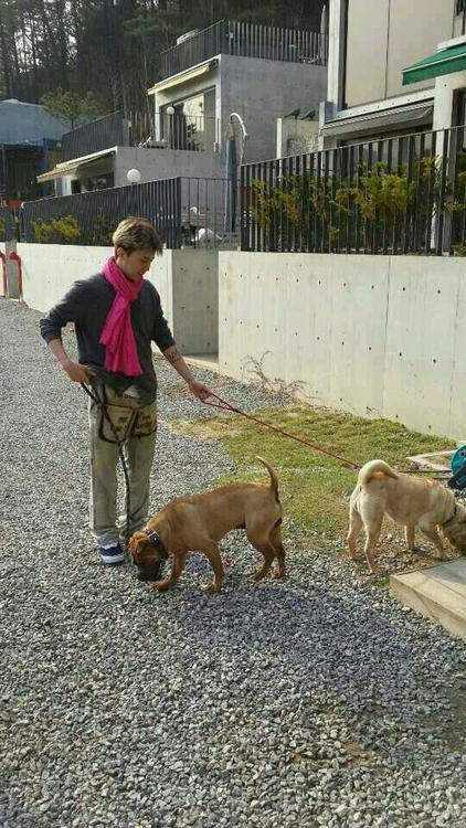 140408 Dolcebita Twitter #With Gaho Jolly in Dolcebita....