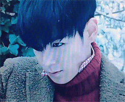 cookieaara: tele-tabi: this beautiful creature left me...