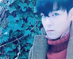 cookieaara: tele-tabi: this beautiful creature left me...
