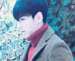 cookieaara: tele-tabi: this beautiful creature left me...