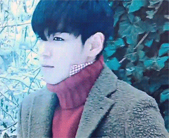 cookieaara: tele-tabi: this beautiful creature left me...