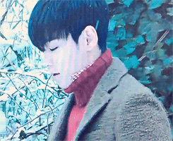 cookieaara: tele-tabi: this beautiful creature left me...