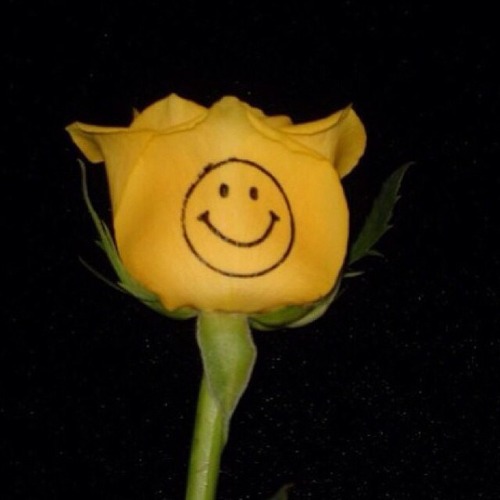 G-Dragon Instagram update 20140617: TMR #8BBGER8 #BIGBANG #빅뱅...